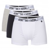 3 PACK BOXER SHORT
